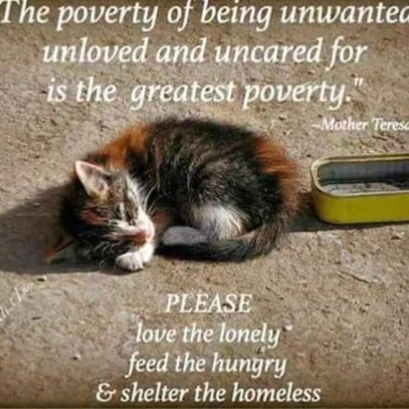 🌸Hi! From Jeannie🌸 - Picture 3 of 3